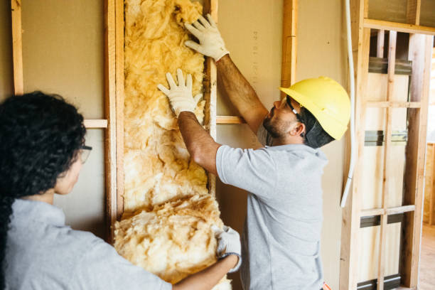 Best Radiant Barrier Insulation  in Mount Plymouth, FL